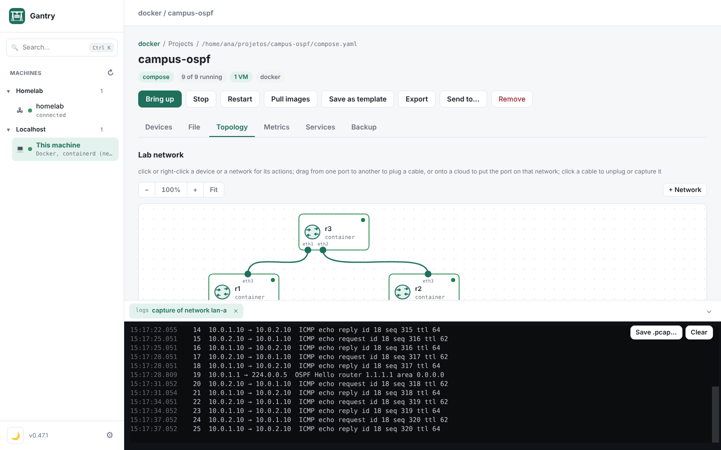 A live capture of a lab network showing OSPF hellos and pings